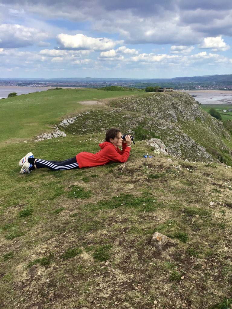 Brean Down