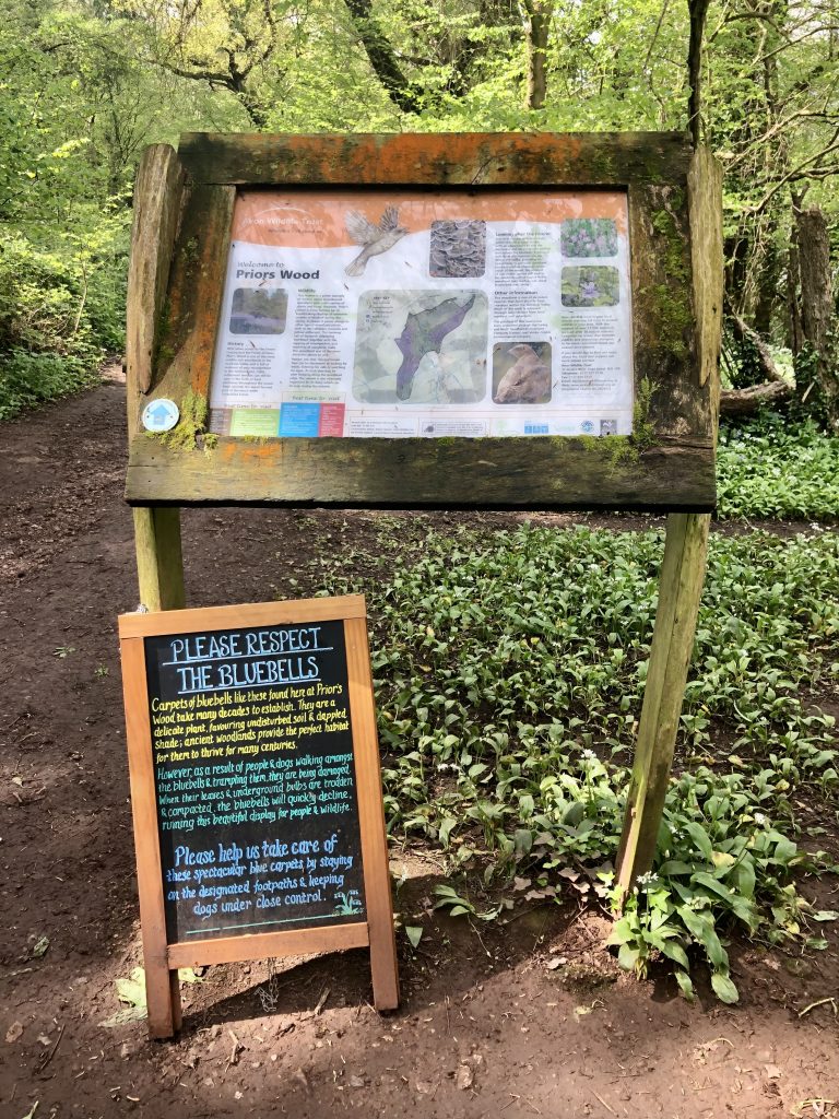 Please respect the bluebells notice at Priors wood