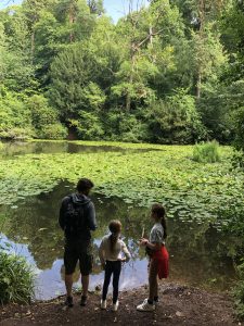 Abbots Pool, Abbot Leigh