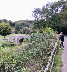 Bridge over By Brook