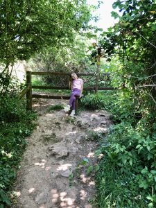 Stile at Cadbury Camp entrance