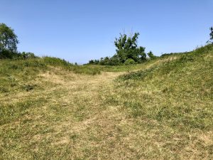 Ramparts at Cadbury Camp