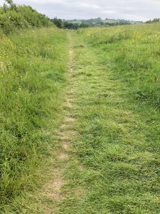 Footpath through field