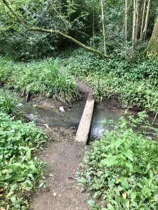 bridge over brook