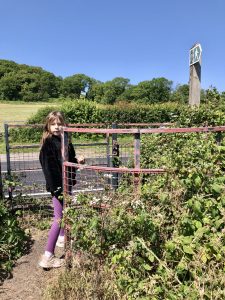 Kissing gate in Tickenham