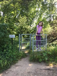 Kissing gate on Cadbury Camp Lane