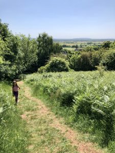 Walking up to Cadbury Camp from Tickenham