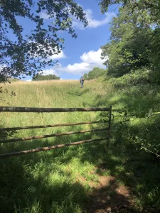 Gate to field