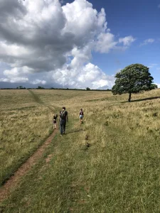 Walking through a field at Draycott Sleights