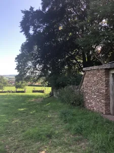 Field next to Batcombe Farm