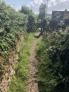 Footpath out onto school Lane