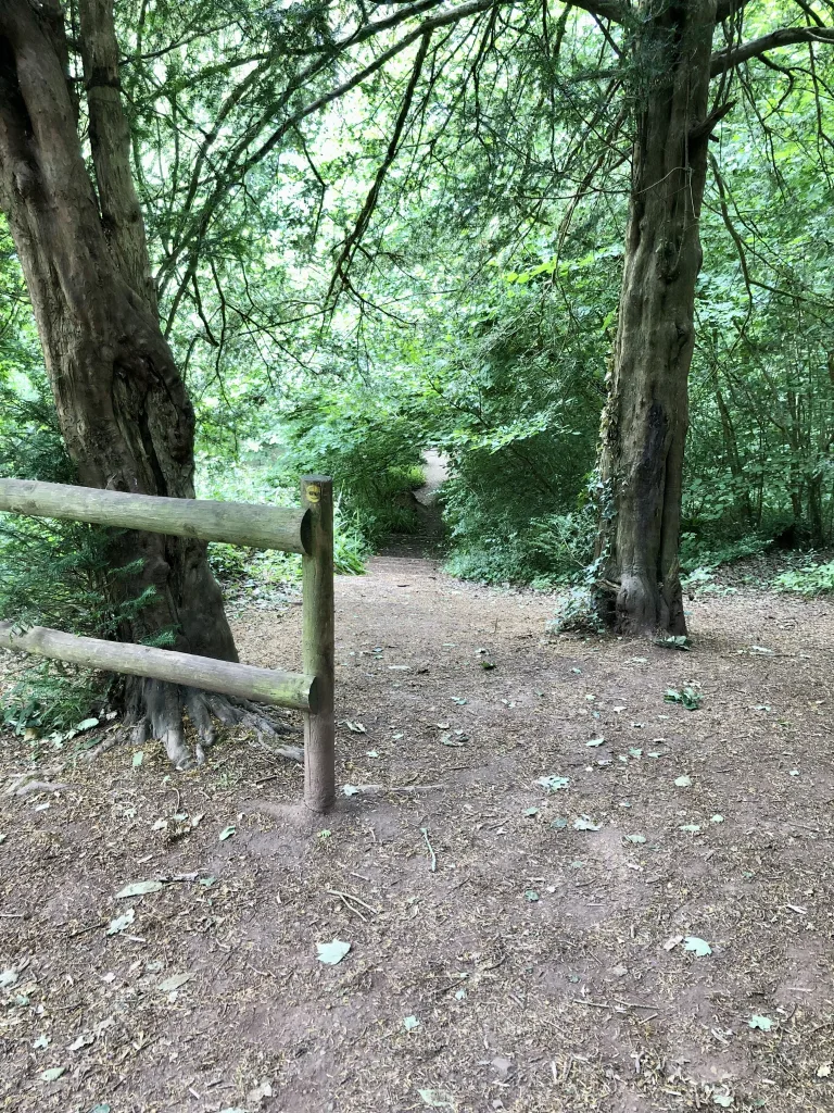 Path leading down to the stone bridge