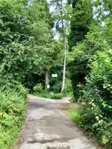 Car Park on Manor Lane