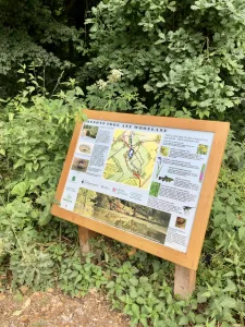 Information Board