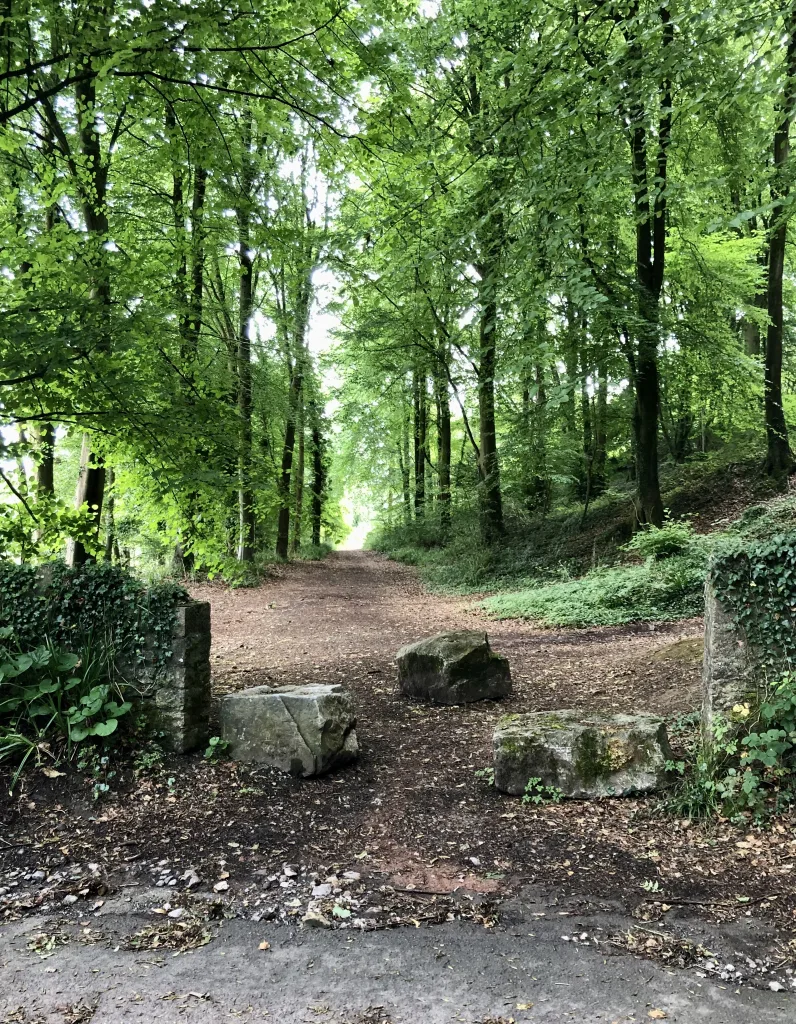 Entrance to Fifty Acre Woodland Trail