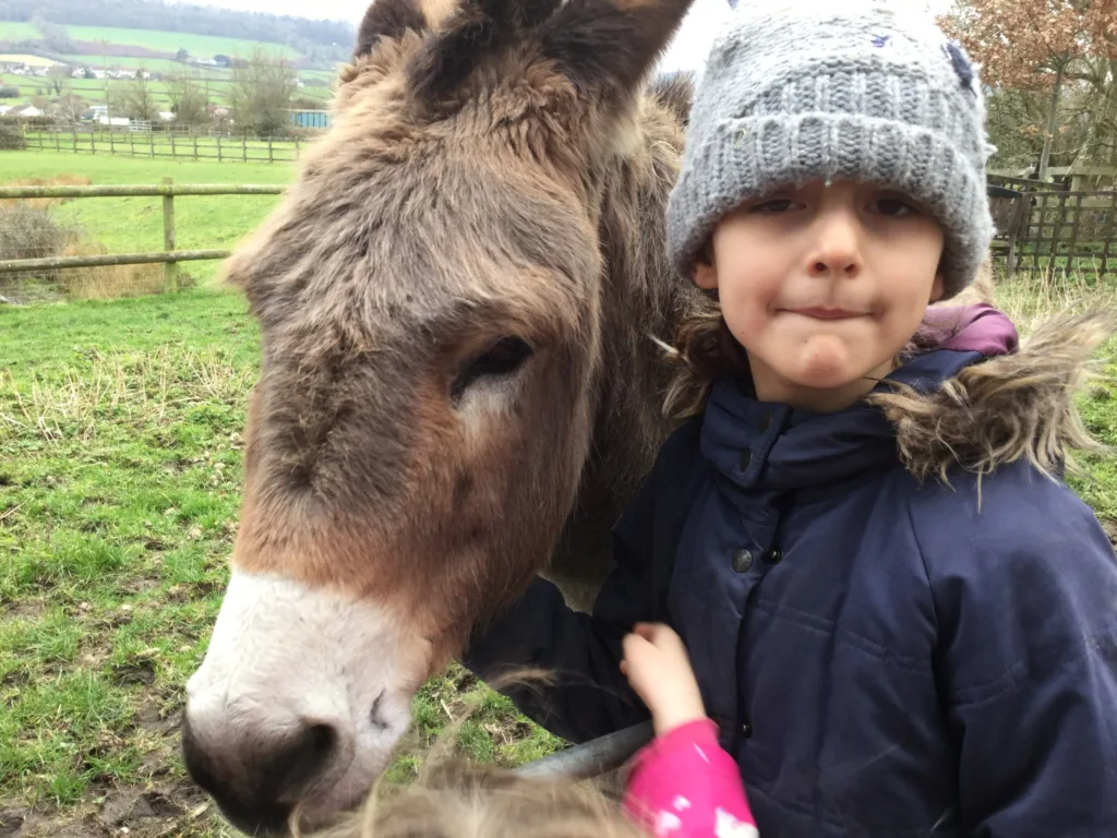 Donkey Sanctuary