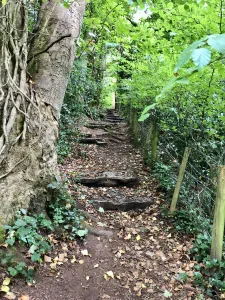 Steps up to the bridleway