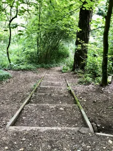 Steps to Abbots Pool