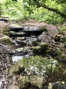 Cascade pools at Abbots Pool