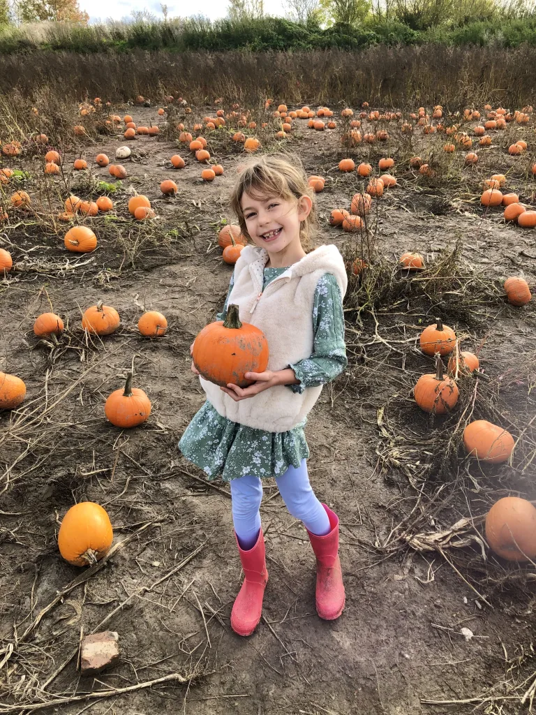 Pumpkin picking in Somerset