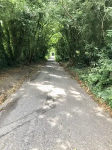 Tunnel of trees over Weir Lane, Abbots Pool