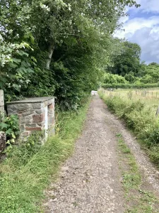 Track leading to Manor Road