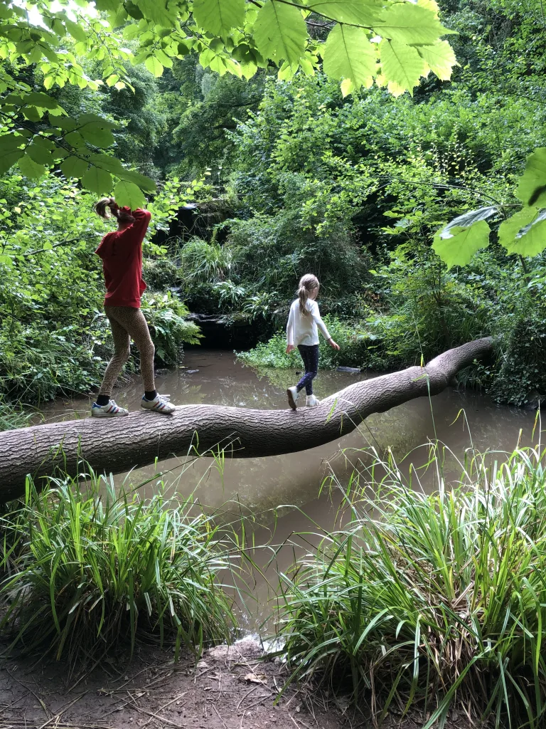 Walking over a fallen branch over a pool