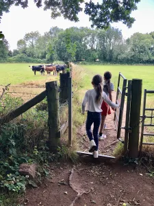 Through gate into a field