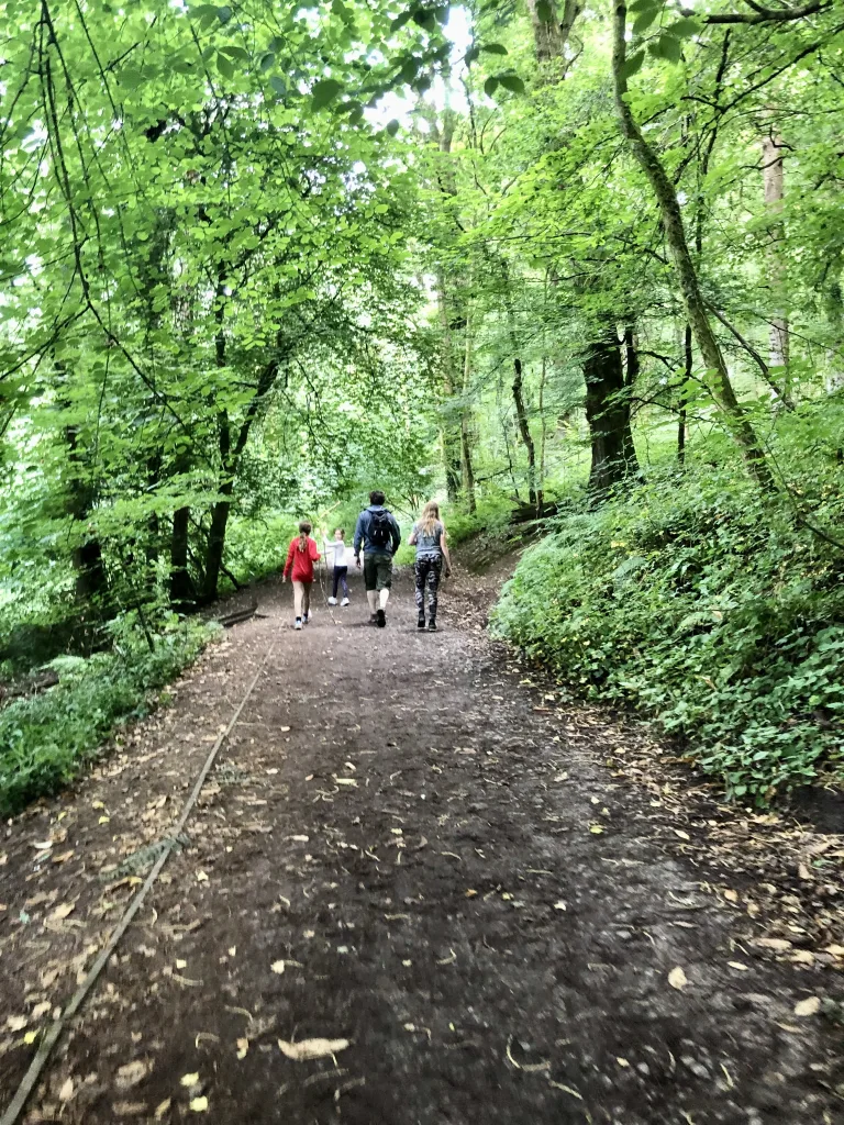 Bridleway next to Abbots Pool