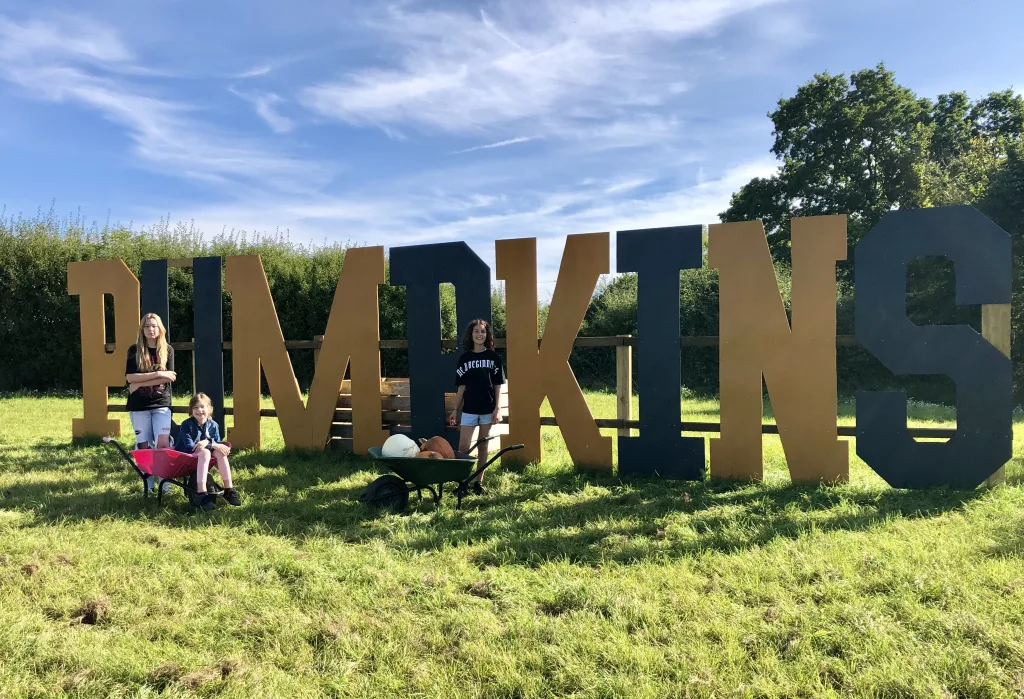 Pumpkin picking at Pitt Farm in Wellington, Somerset