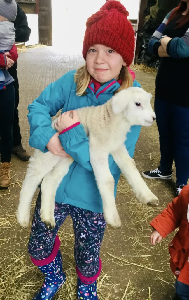 Cuddling a lamb at Court Farm Country Park