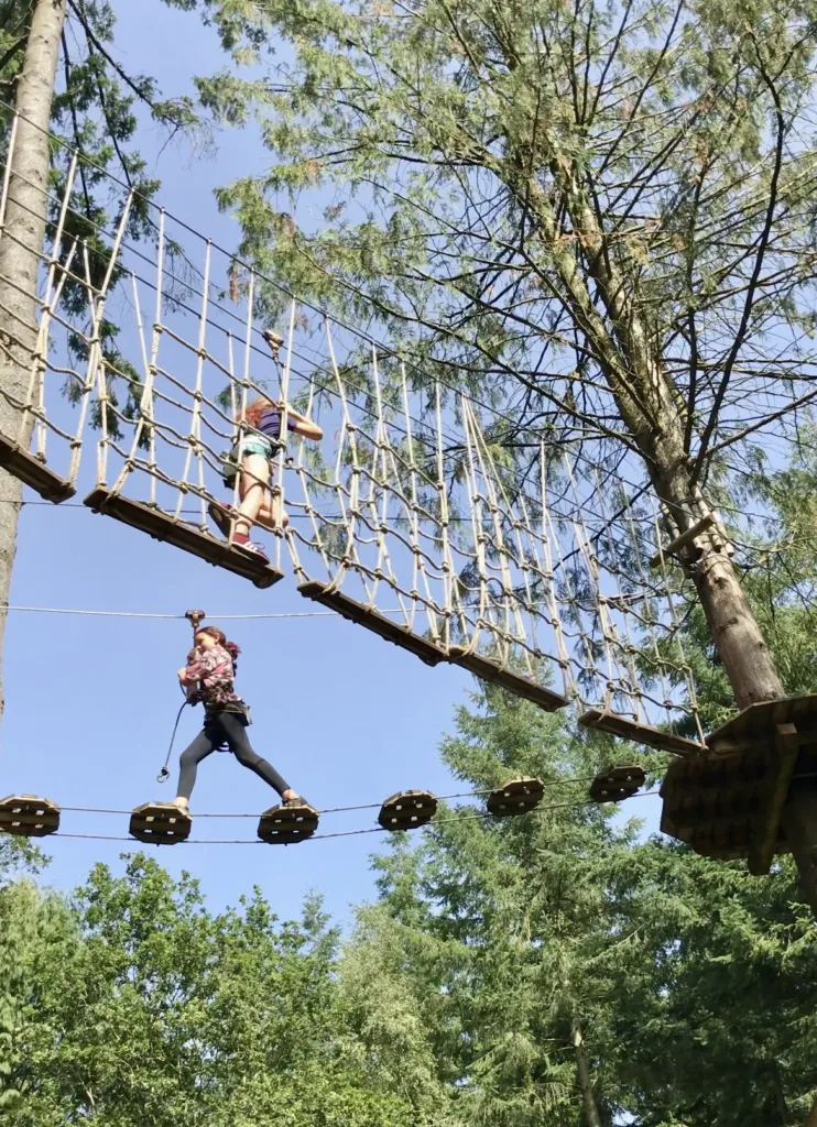 Go Ape, Forest of Dean