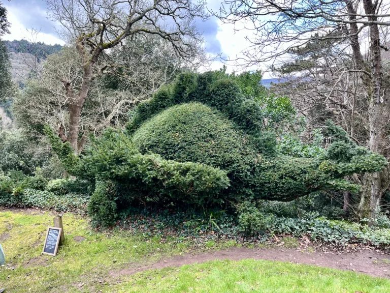 Topiary at Dunster Castle