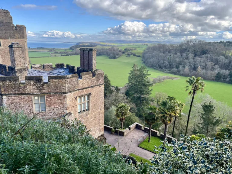 Sub tropical Gardens at Dunster Castle