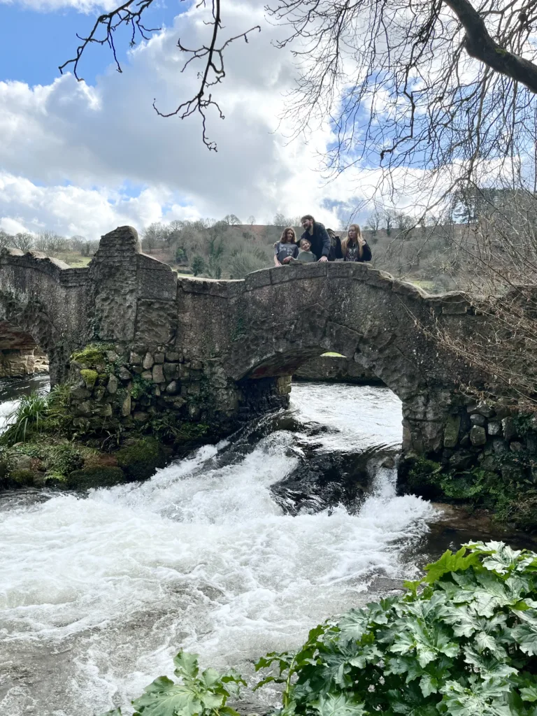 Lover's Bridge at Dunster Castle Gardens