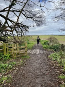 Path to Kilve