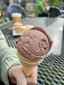 Ice cream and cream tea at Chantry Tea Rooms