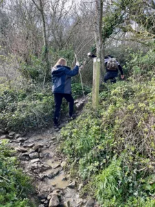 Waymarker at East Wood (Kilve walk)