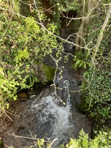 Waterfall at Kilve, Somerset